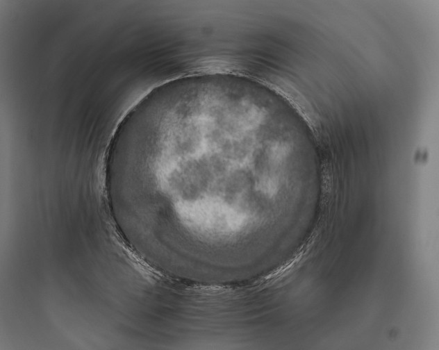 X0000093771023200711061129