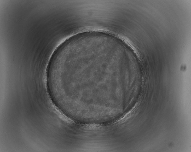 X0000093771024200711061129