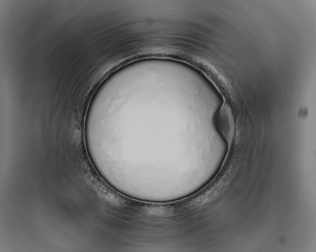 X0000093771025200711061129