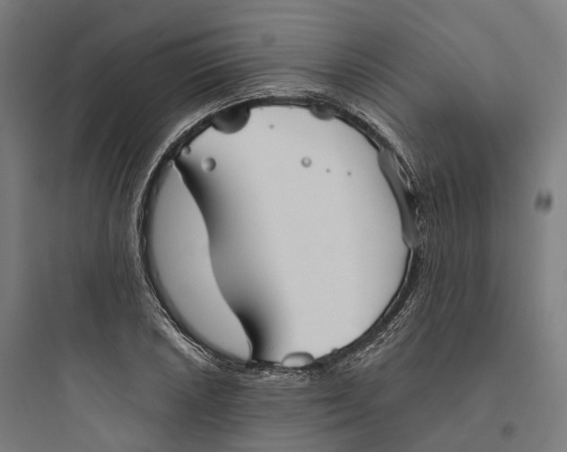 X0000093771026200711061129