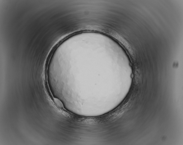 X0000093771028200711061129