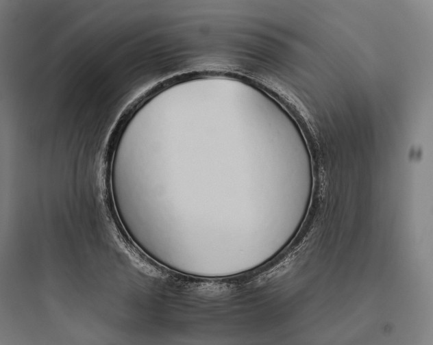 X0000093771029200711061129