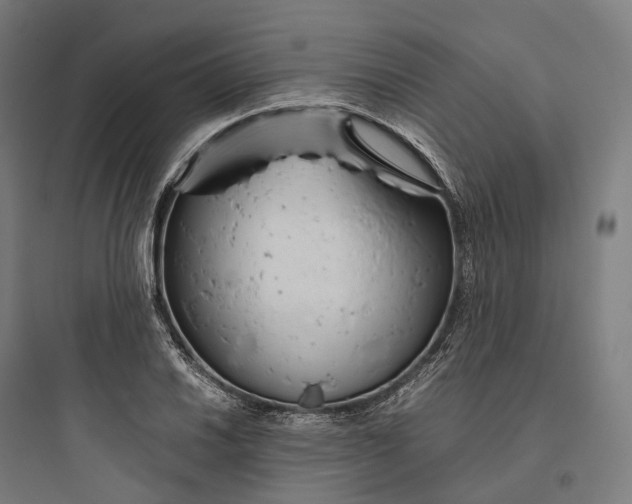 X0000093771030200711061129