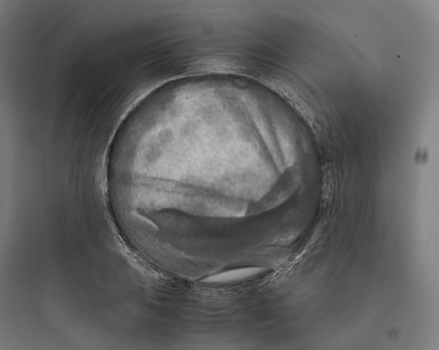 X0000093771031200711061129