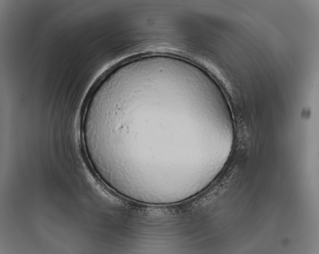 X0000093771032200711061129