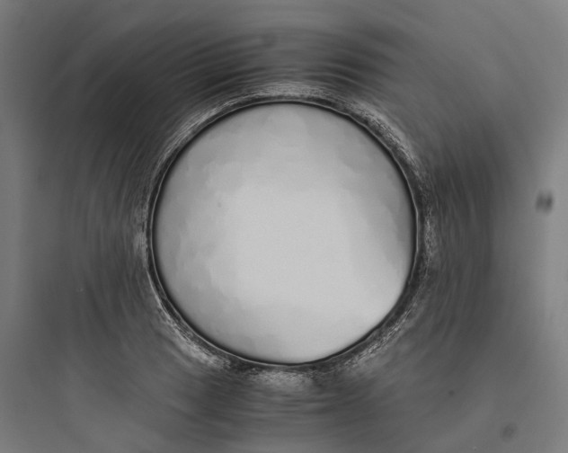 X0000093771033200711061129