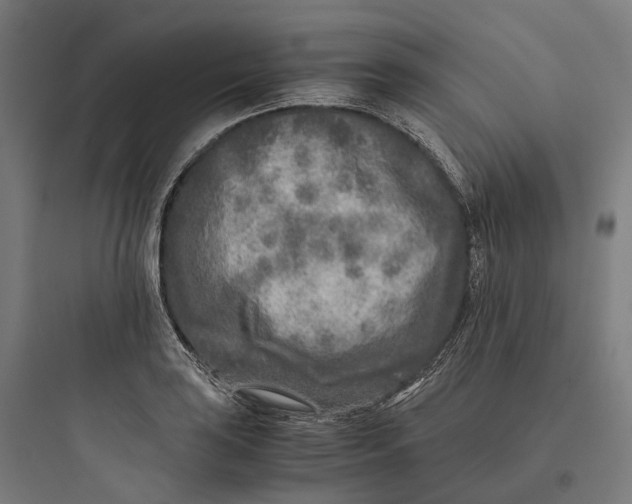 X0000093771035200711061129