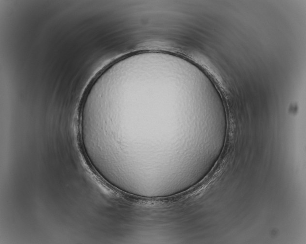 X0000093771040200711061130