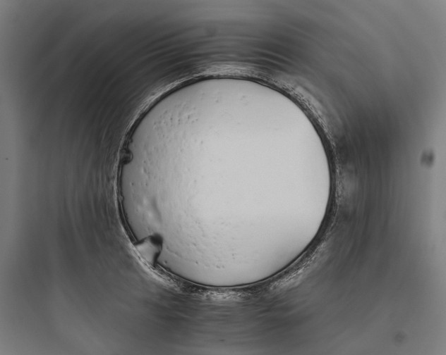 X0000093771041200711061130