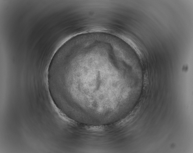 X0000093771047200711061130