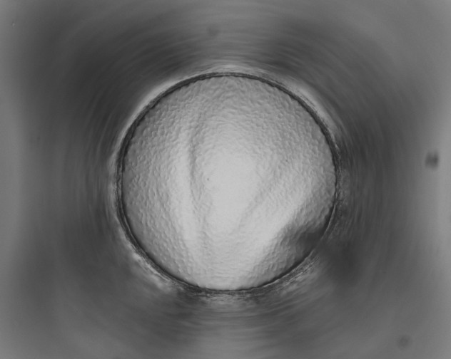 X0000093771048200711061130