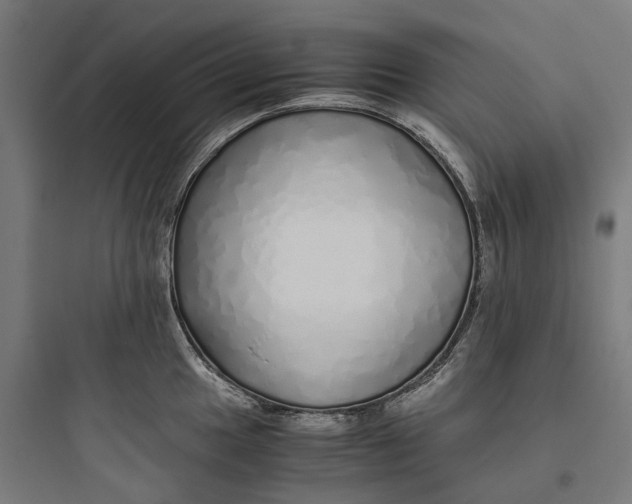 X0000093771049200711061130