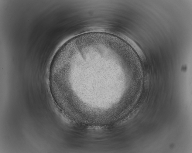 X0000093771051200711061130