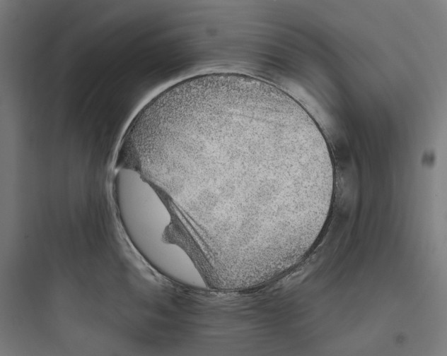 X0000093771052200711061130