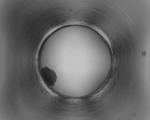 X0000093771053200711061130