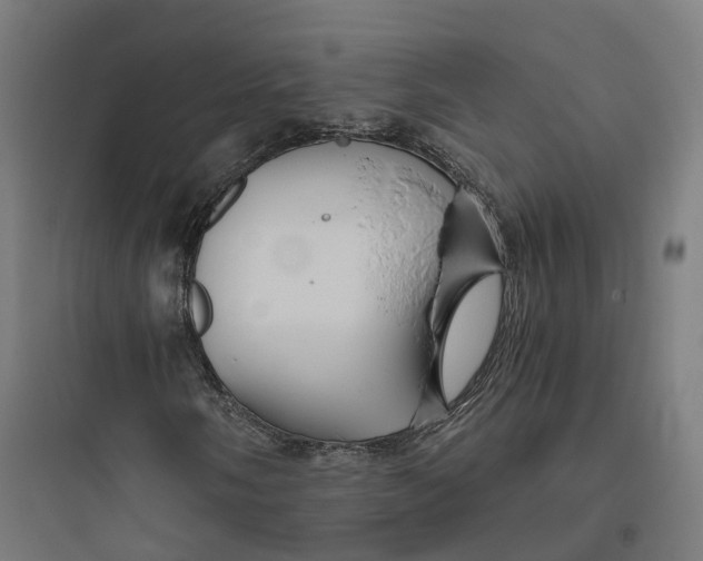 X0000093771058200711061129