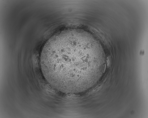 X0000093771059200711061129