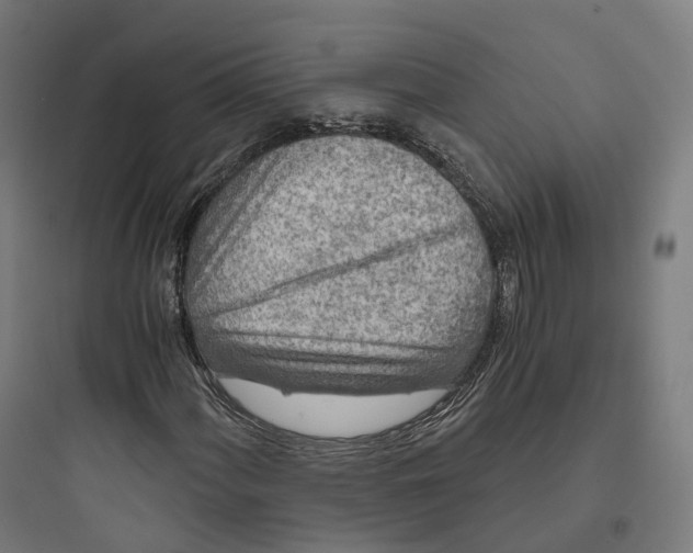 X0000093771060200711061129