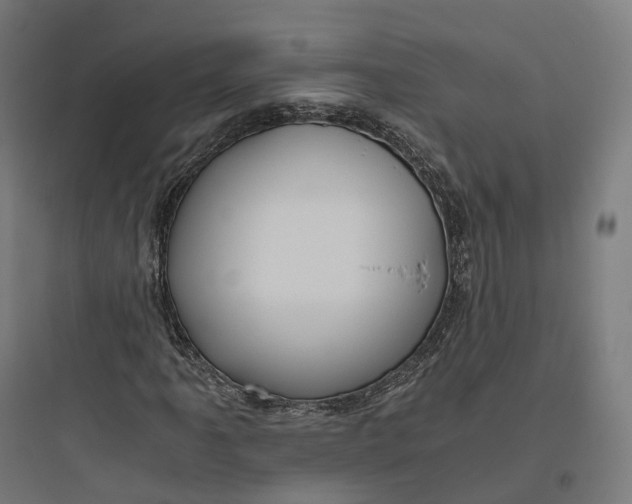 X0000093771061200711061129