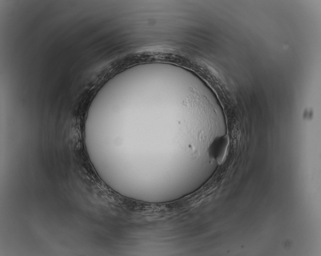 X0000093771062200711061129