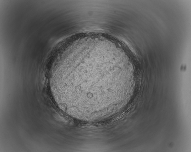 X0000093771063200711061129