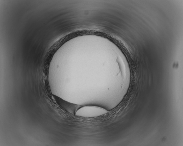 X0000093771064200711061129