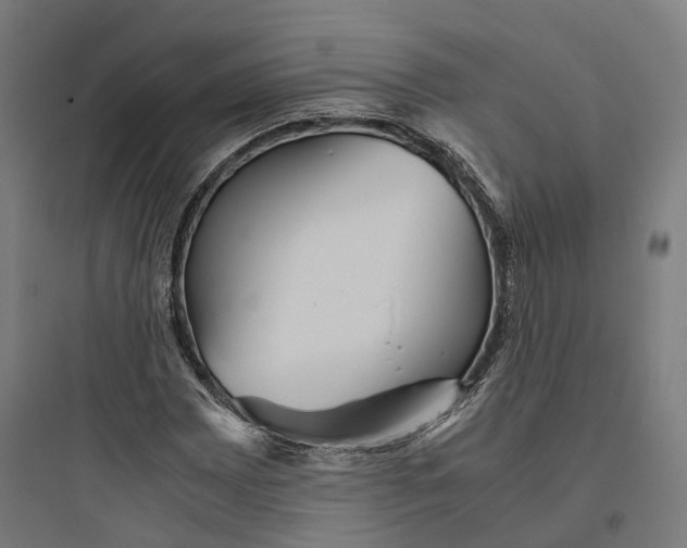 X0000093771065200711061129