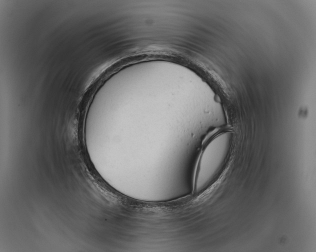 X0000093771066200711061129