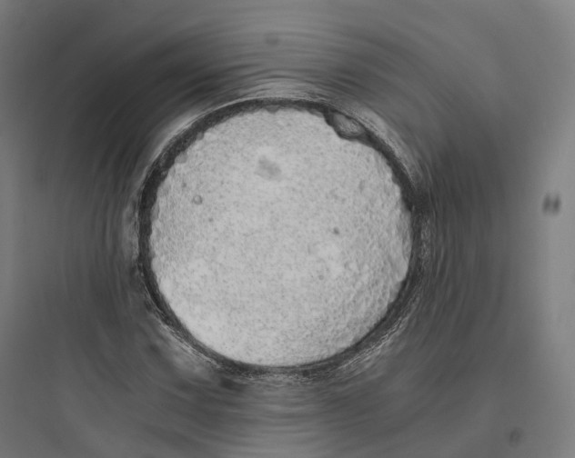 X0000093771067200711061129