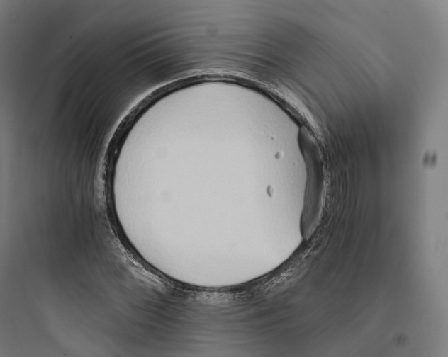 X0000093771068200711061129