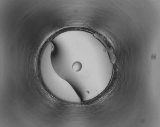 X0000093771069200711061129