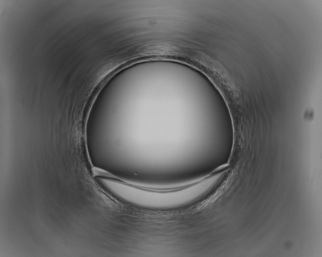 X0000093771073200711061129