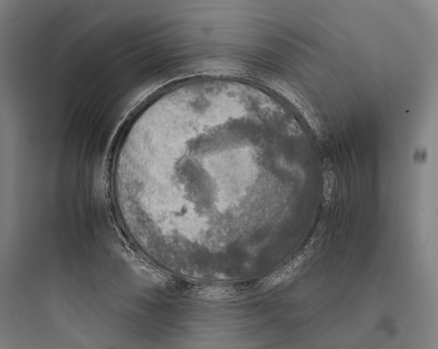 X0000093771074200711061129