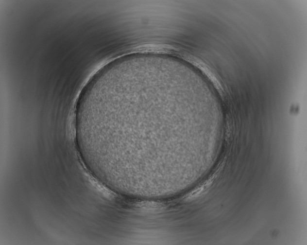 X0000093771075200711061129