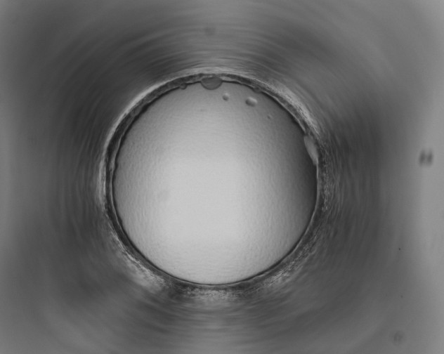 X0000093771076200711061129