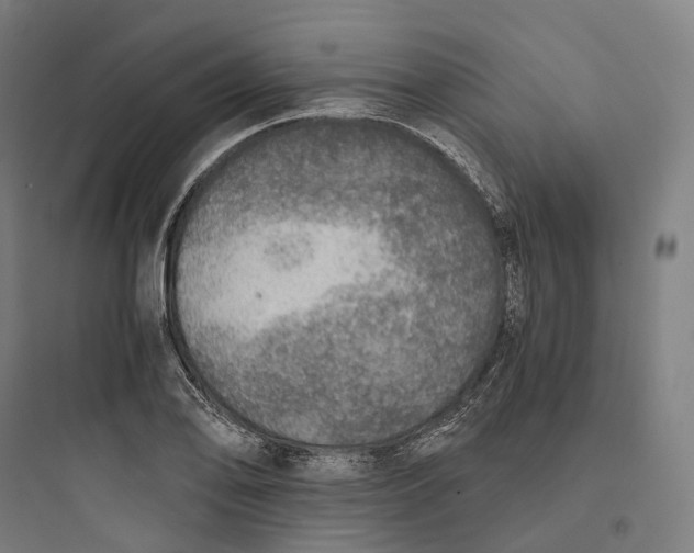 X0000093771078200711061129