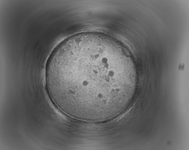 X0000093771079200711061129