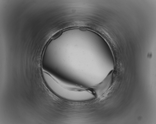 X0000093771081200711061129