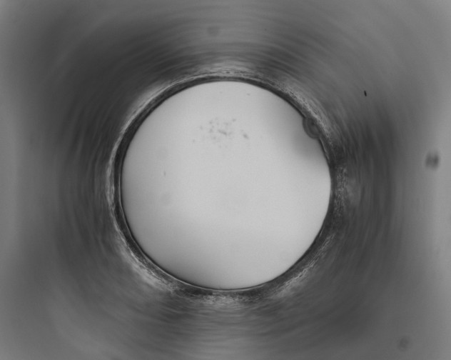 X0000093771082200711061129