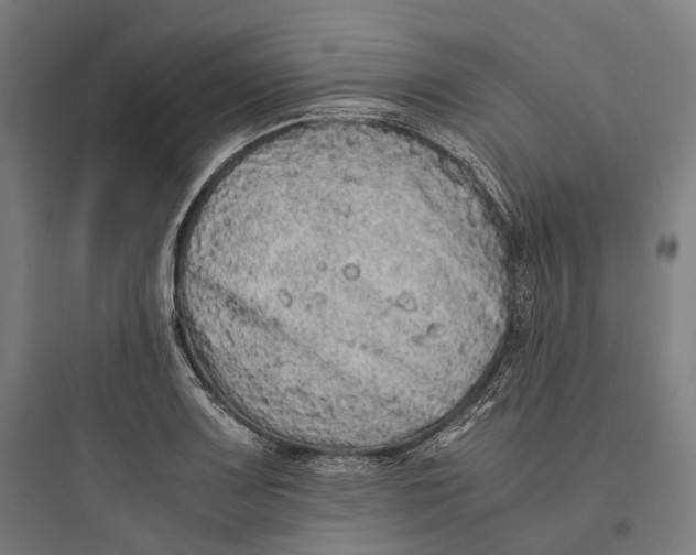 X0000093771083200711061129