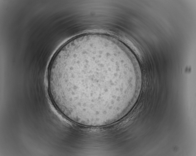 X0000093771084200711061129