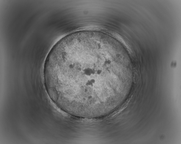 X0000093771087200711061128