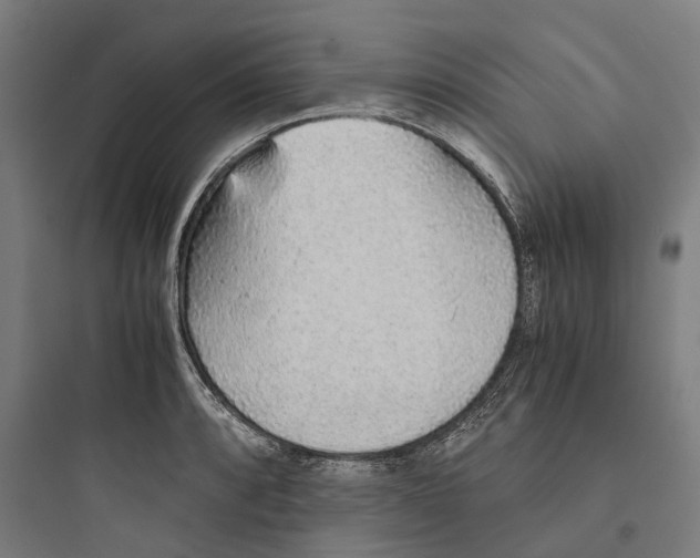 X0000093771088200711061128