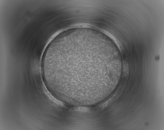 X0000093771090200711061128