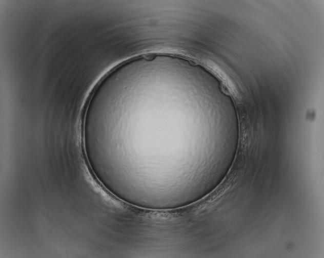 X0000093771092200711061128