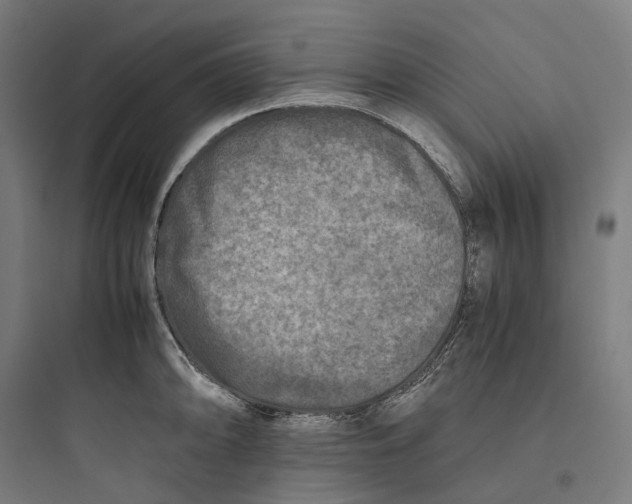 X0000093771094200711061128