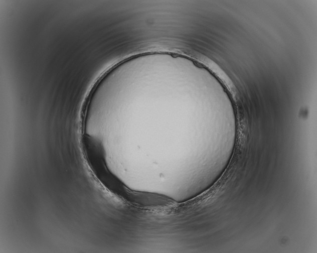 X0000093771096200711061128