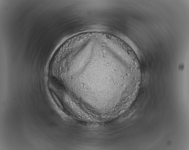 X0000093771099200711061128