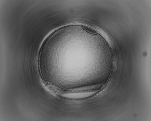 X0000093771100200711061128