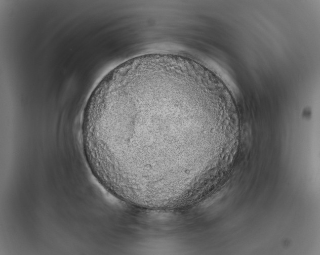 X0000093771103200711061128